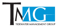 Chameleon Logo